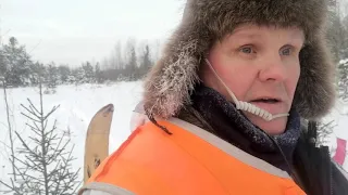 Охота на волка. оклад флажками. волк в деревне съел собаку. волк добыт. Охота-моя жизнь.