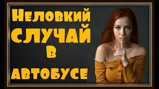 Неловкий случай в автобусе. Анекдот.