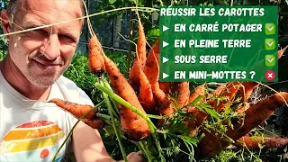 4 expériences avec les carottes au potager ► Carré potager, pleine terre, mini-motte & sous serre