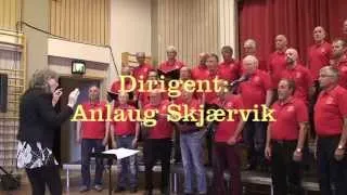 Namsos Sangforening