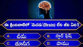 Interesting Questions In Telugu|Episode-11|By Rk thoughts|Unknown Facts|Genera Knowledge|Telugu Quiz