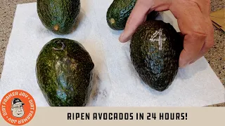 Ripen Avocados in 24 Hours!