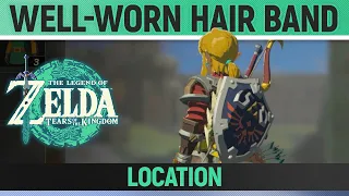 Zelda: Tears of the Kingdom - Well-Worn Hair Band Location (Zelda's Secret Well)