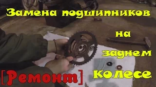 Замена подшипников на заднем колесе [РЕМОНТ]