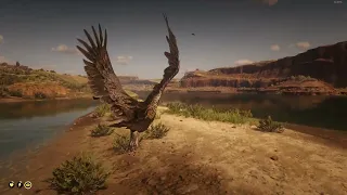 Flying low with Vulture - RDR2