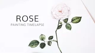 Watercolor Rose · Painting Time lapse