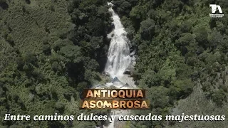 Antioquia Asombrosa, Campamento: entre caminos dulces y cascadas majestuosas - Teleantioquia