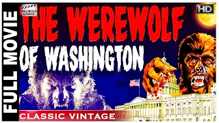 The Werewolf Of Washington - 1973 l Super Hit Hollywood Movie l Dean Stockwell , Katalin Kallay