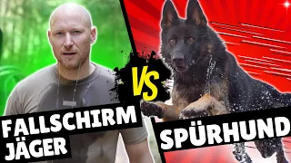 Flucht vor Personenspürhunden - 3 Mythen, wie man Hunde abschüttelt | #k9 Vs. #airborne