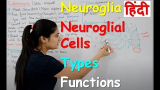 Neuroglia in Hindi | Types | Functions | Structure | neuroglial cells | Rajneet Medical Education