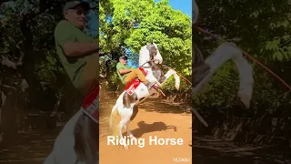 Riding Horse Bombay point Mahabaleshwar