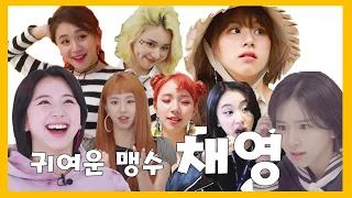 [TWICE] 트와이스  채영 - 귀여운 아기맹수 채영이 한마리 몰고가세요 - 째용이 입덕 10분  순삭 - TWICE Chae yeong