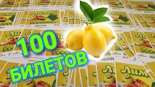 ЛОТЕРЕЯ "ЛИМОН" КУПИЛ 100 ЛОТЕРЕЙНЫХ БИЛЕТОВ, Государственная Лотерея