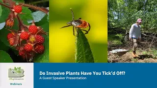 Do Invasive Plants Have You Tick'd Off? (August 23, 2023)