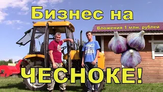 Выращивание чеснока. Чесночный бизнес. Бизнес в деревне.