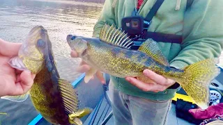 Fishing the Mississippi River for Early Spring Walleye can be SO MUCH FUN!