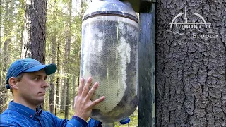 Жжжжбан Адвоката Егорова - бесконтактное пчеловодство
