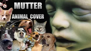 Rammstein - Mutter (Animal Cover)