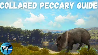 Parque Fernando Collared Peccary Guide! TheHunter Call Of The Wild 2023