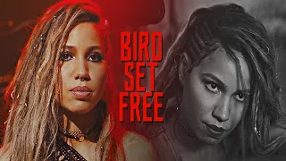 Black Canary | Bird Set Free