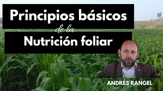 Principios Básicos de la nutrición Foliar