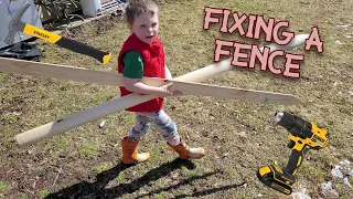 KIDS AND TOOLS - Little Carpenter helps fix a fence! Power tools, chickens and more!