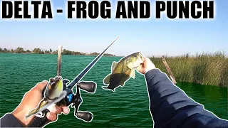 CA DELTA - INSANE FROG AND PUNCH BITE