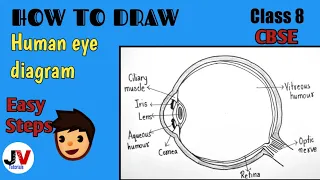 class 8 human eye diagram|human eye diagram class 8