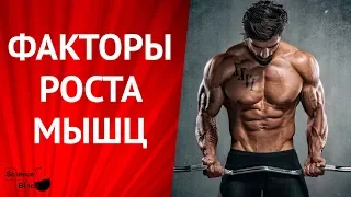 От чего растут мышцы. Факторы роста мышц