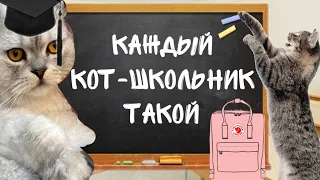 КАЖДЫЙ КОТ-ШКОЛЬНИК ТАКОЙ | СКЕТЧ ЛЯПОТА ТВ