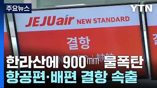 한라산에 900㎜ 물폭탄...항공편·배편 결항 속출 / YTN