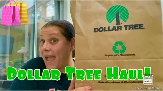 Large Dollar Tree Haul! 🛍️ Let’s Hang Out! May 5, 2024