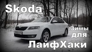 Skoda: ЛайфХаки Зимы (2020)