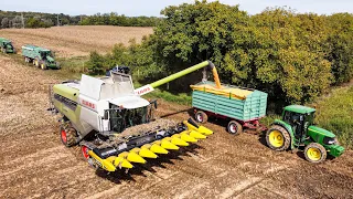 Žetva kukuruza 2022 | Claas Lexion 7600 & Geringhoff rotadisc 9