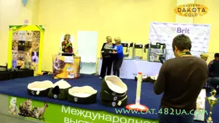 Best Шоу, Харьков, Международная выставка кошек и котов, 18 сентября, 2016, часть 1