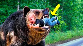 Bear Carries A Dying Baby To The Road & Begs For Help. You Won't Believe What Happens Next!