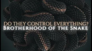 Did An Ancient Serpent Cult Dominate The Earth? The Brotherhood Of The Snake Explored.