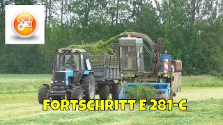 Silage 2019 | Fortschritt E 281-C forager with Belarus 920
