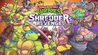 Teenage Mutant Ninja Turtles Shtedder’s Revenge pt3