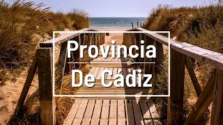 Lo mejor de la provincia de Cádiz