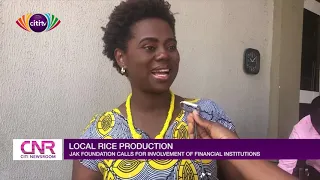 JAK Foundation urges financial institutions to support local rice production | Citi Newsroom