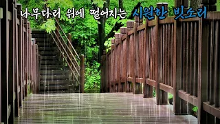 The cool sound of rain falling on the wooden bridge.