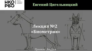 Лекция №2 - Биометрия (Цигельницкий Евгений)