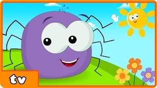 Incy Wincy Spider | Itsy Bitsy Spider + More Popular Nursery Rhymes By Hooplakidz TV