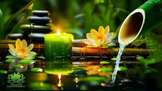 Relaxing Zen Music - Meditation Music, Peaceful Music, Bamboo,Relaxing Music,Nature Sounds, Spa, BGM