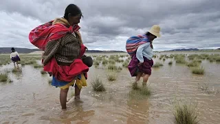 Наводнения в Боливии повредили 80% дорог