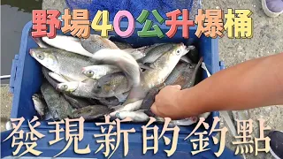 沒親眼所見絕對不相信!!丟下去就咬!丟下去就咬!超大量的魚