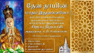 🔴 Live | May Devotion Holy Mass in Tamil from Shrine Basilica (26-05-22 @ 06:15 p.m)