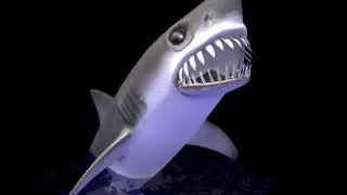 Shark (Акула)