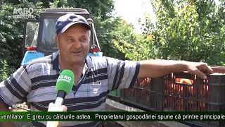 AGRO TV News - 03. 07. 2019